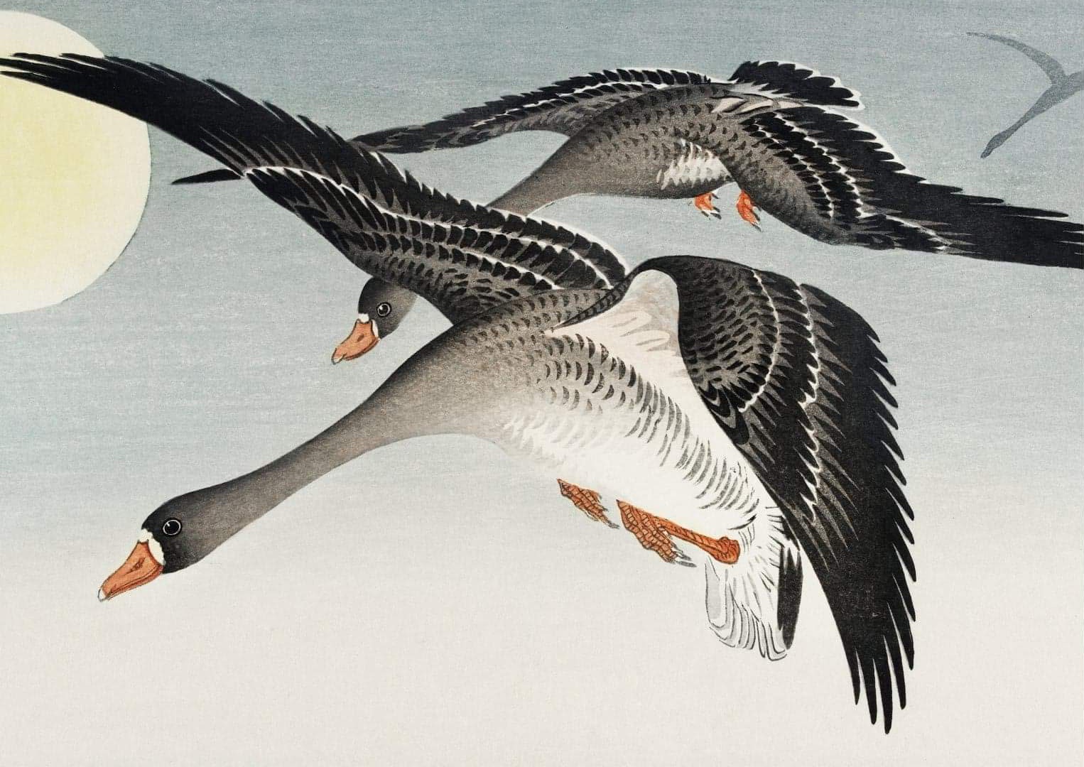 A2 Japanese Geese Decoupage Paper, Paper Craft, Decoupage Papers for