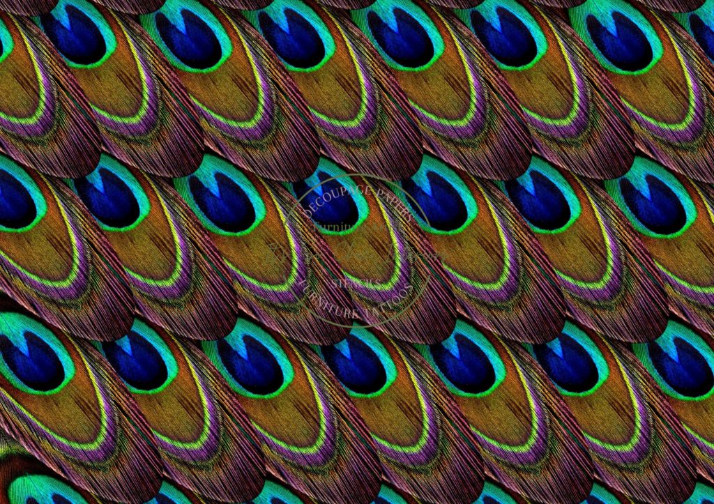 A1 Peacock Feather Decoupage Paper Paper Craft Decoupage Papers for