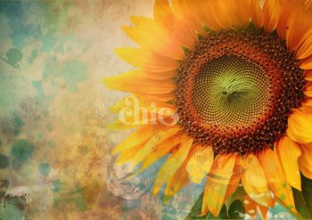 Print On Demand A1/A2/A3 Sunflower Decoupage Paper Paper Craft Decoupage Papers for Furniture Poster Quality