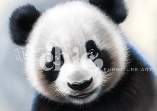 Decoupage Paper For Furniture A0/A1/A2/A3 Baby Panda panda portrait, wildlife art, animal illustration, cute panda, nature artwork