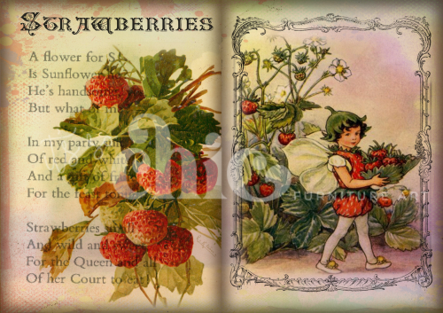 A0/A1/A2/A3 Flower Fairy Strawberries Decoupage Paper For Furniture