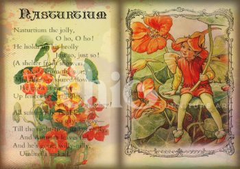 A0/A1/A2/A3 Flower Fairy Nasturtium Decoupage Paper For Furniture