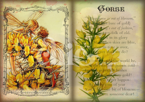 A0/A1/A2/A3 Flower Fairy Gorse Decoupage Paper For Furniture