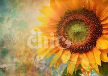 Decoupage Paper for Furniture A0/A1/A2/A3 Sunflower sunflower art, botanical photography, vibrant decor, abstract floral, nature artwork