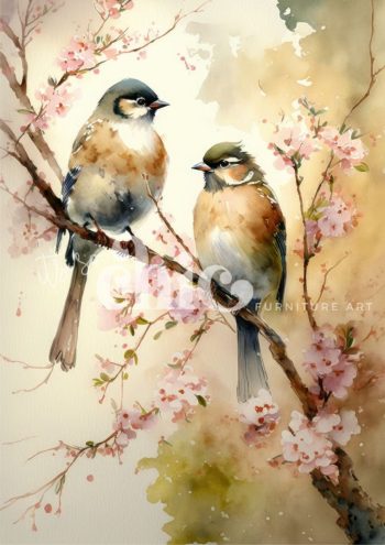 Feathers & Wings
