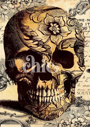A richly detailed skull illustration overlaid with floral patterns and botanical elements, set against a vintage-style background of handwritten script and plant drawings.